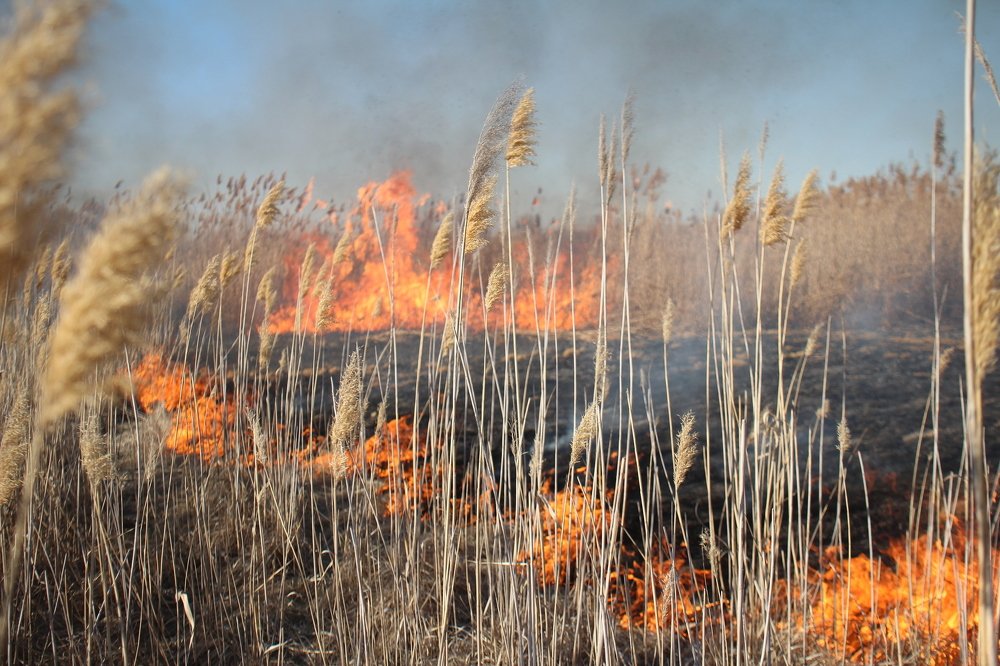 Астраханская дельта