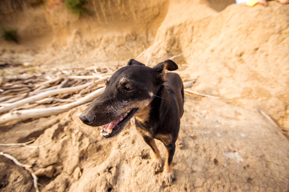 Photograph by Natalya Chumak