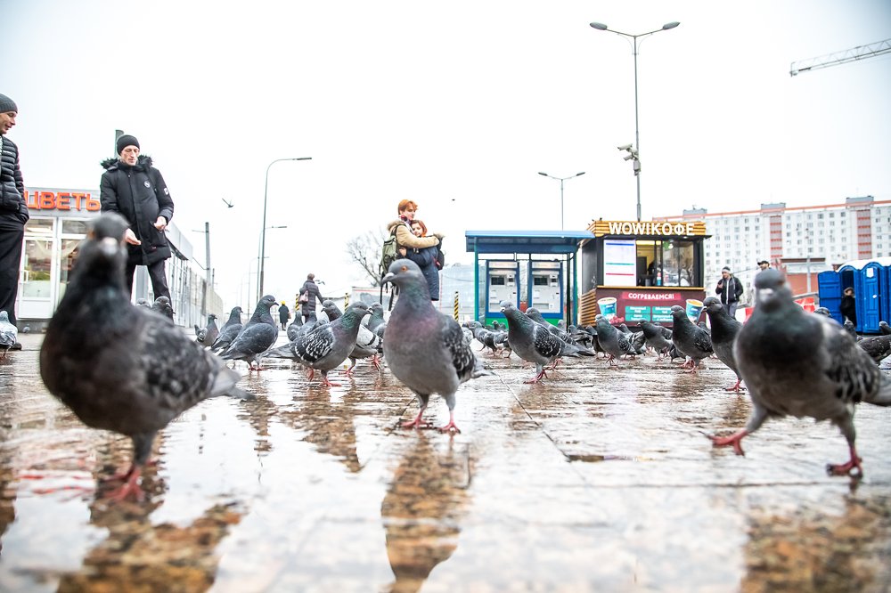 Photograph by Василий Бережной