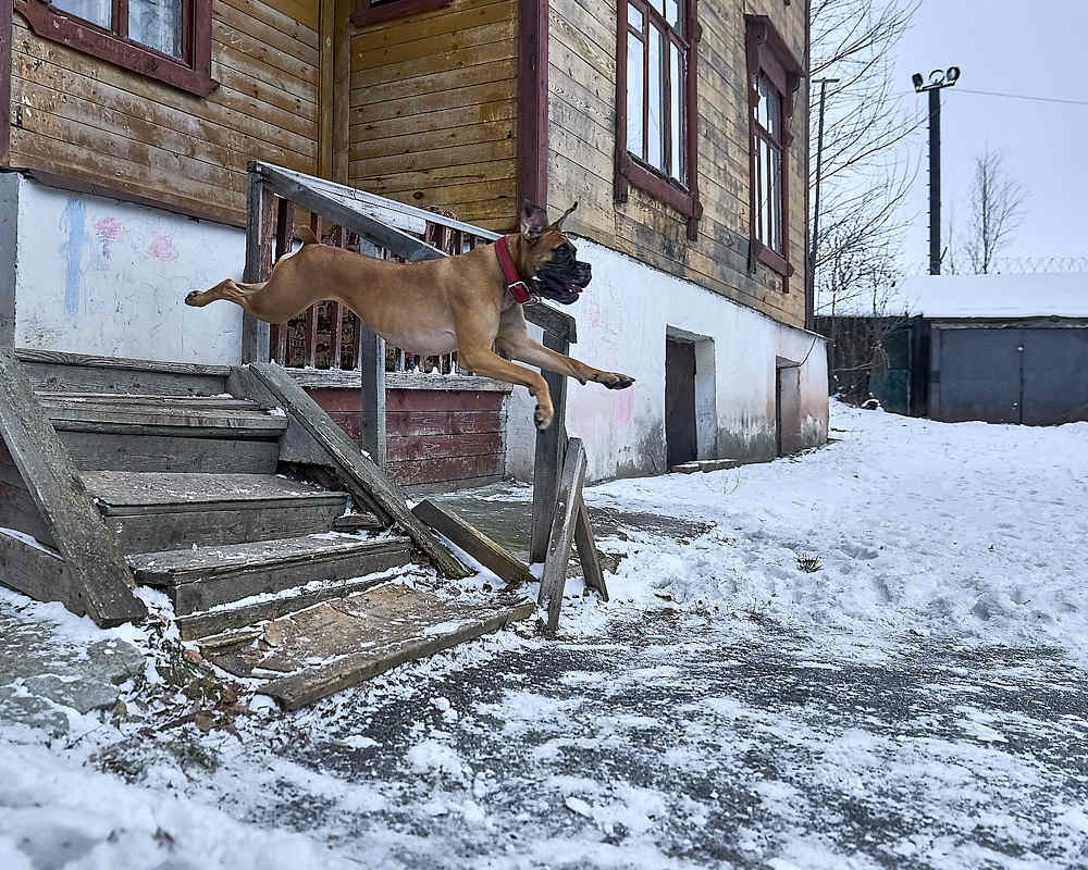 Photograph by Елена Мормоль