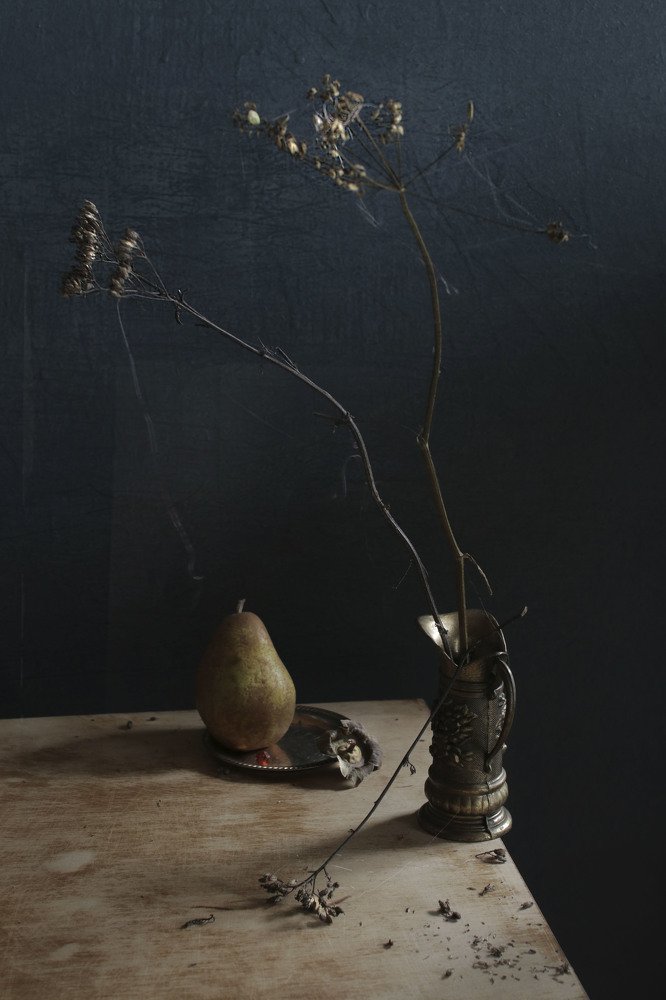 Фотография автора Коршак Елена