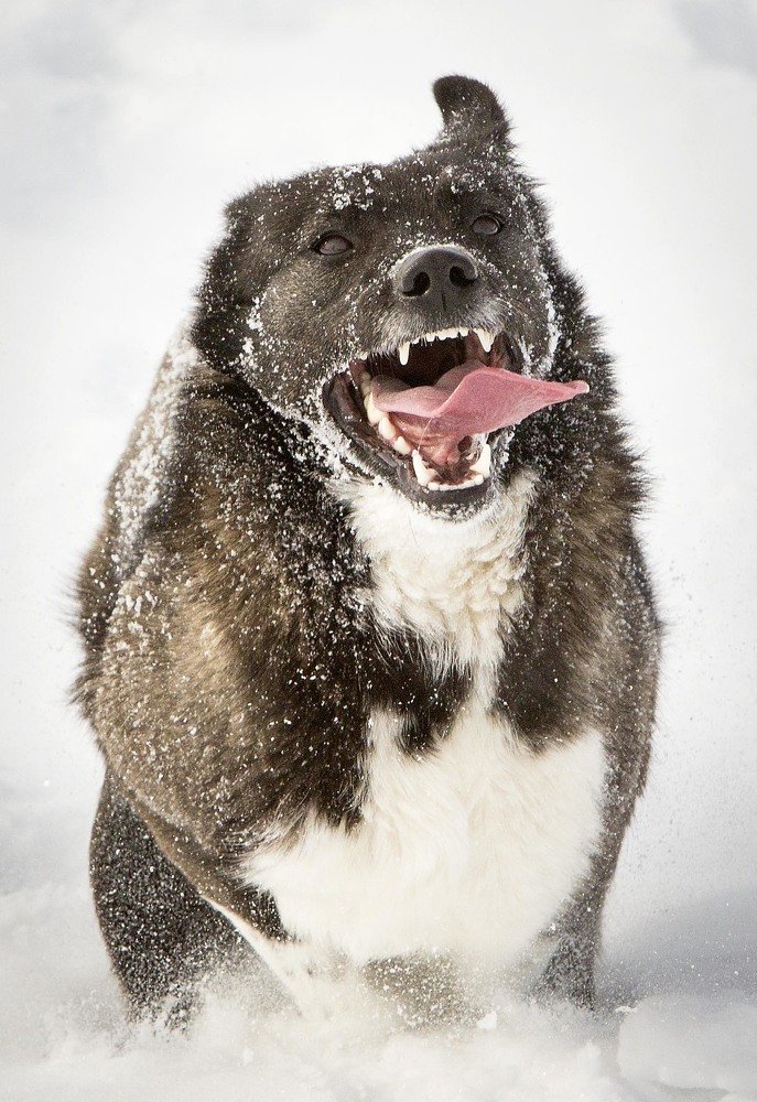 Photograph by Сергей Метелица