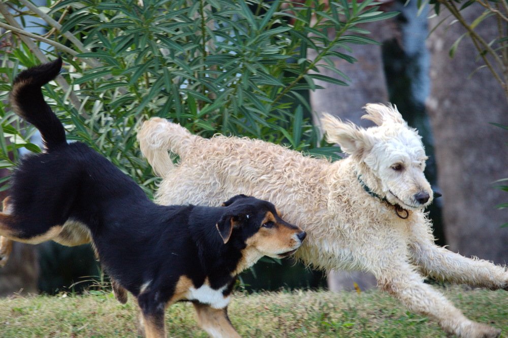 Photograph by Александр Столяров