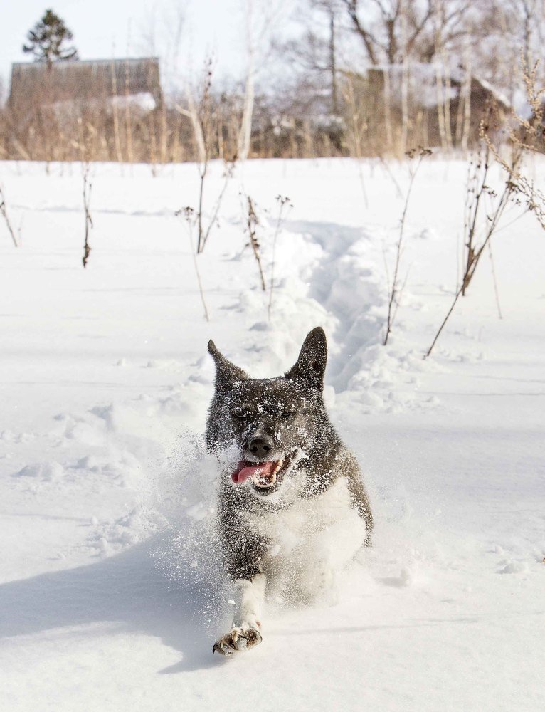 Photograph by Сергей Метелица