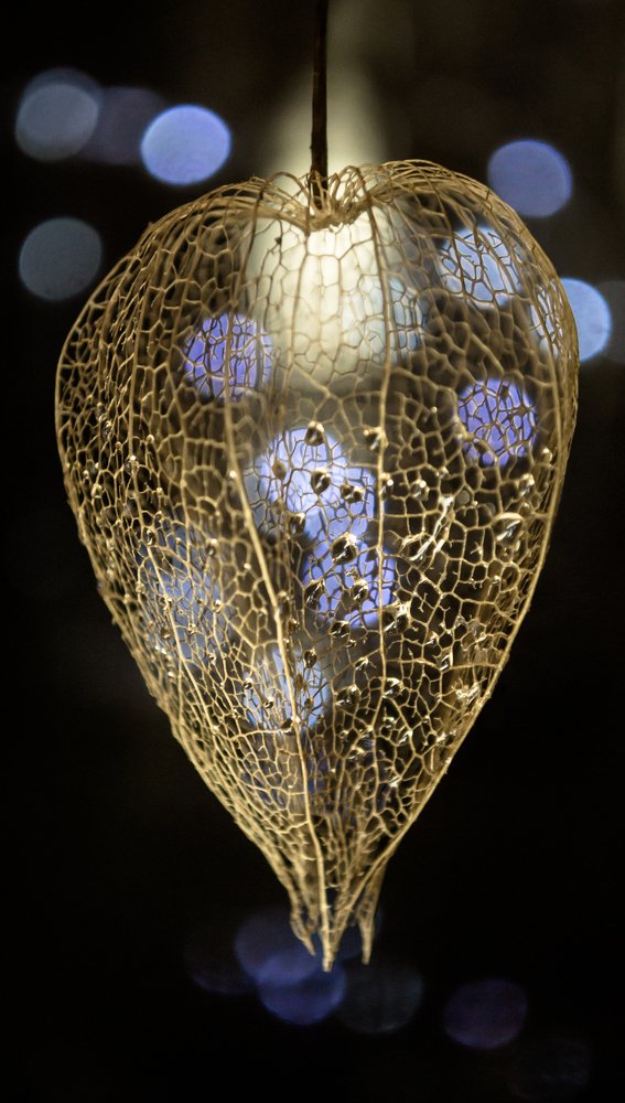 Photograph by Юлия Стадник