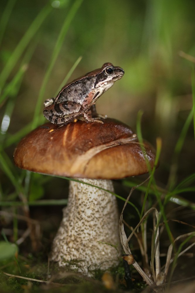 Photograph by Наталья Гайдукевич