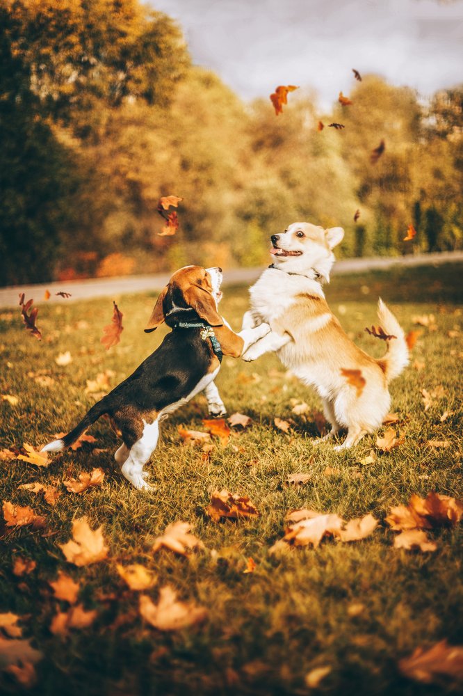 Photograph by Виктория