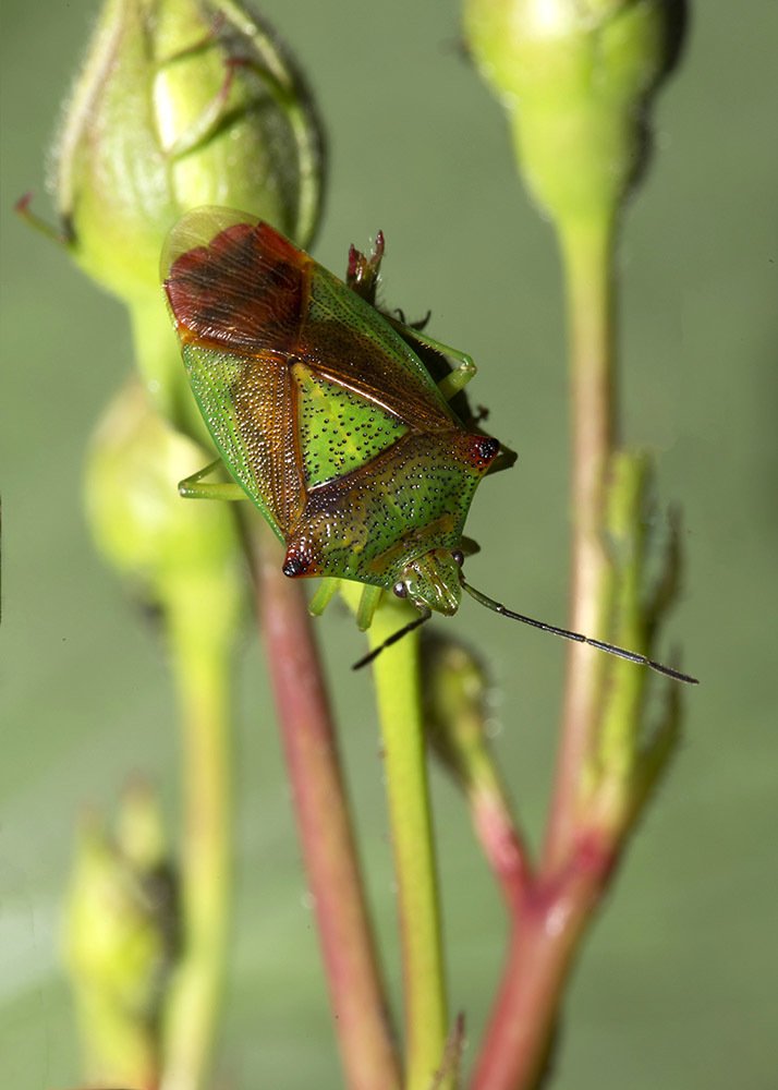 Фотография автора Марина Кулакова