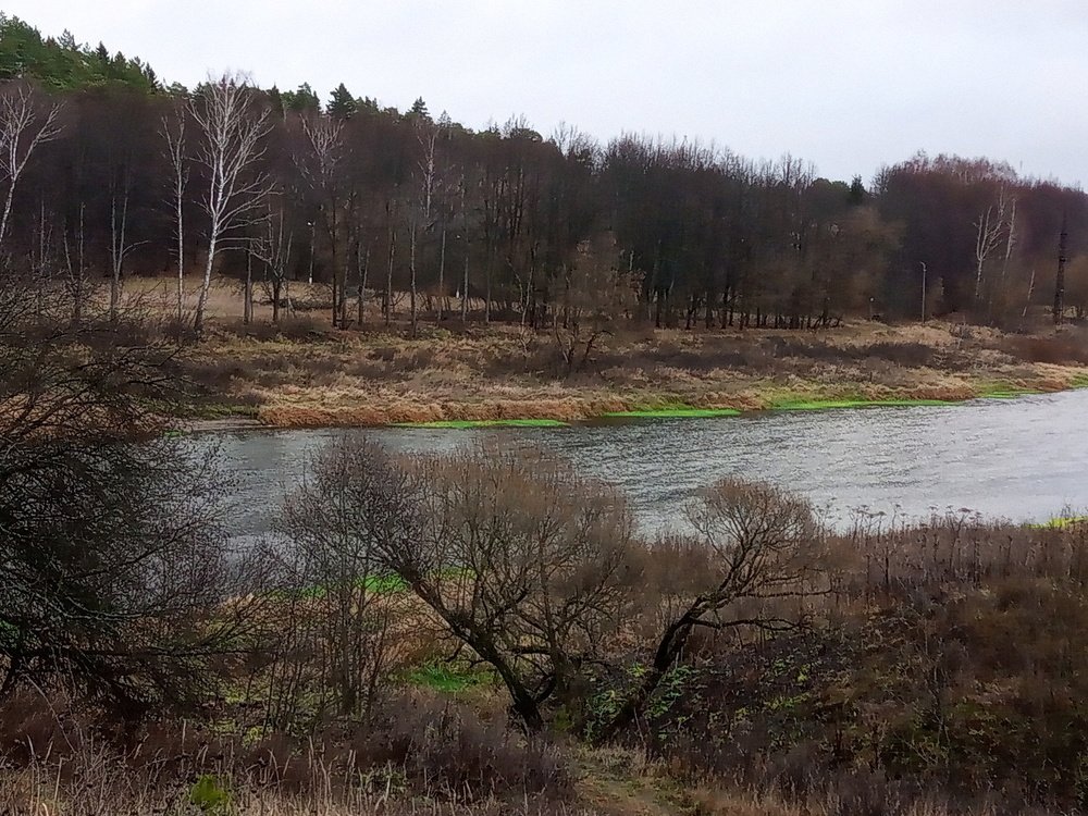 Река глубокой осенью манит к себе...