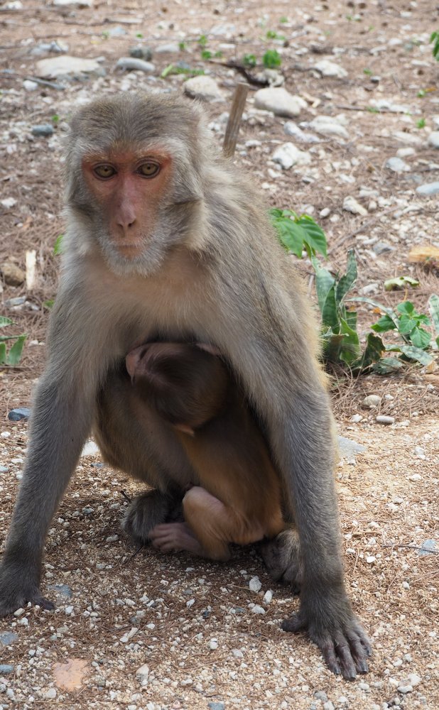 Фотография автора Olena Vorotyntseva