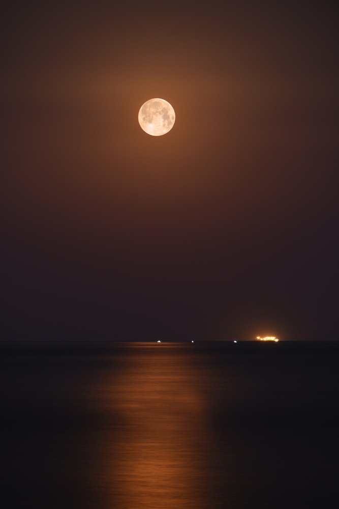 Фотография автора Медведев Сергей