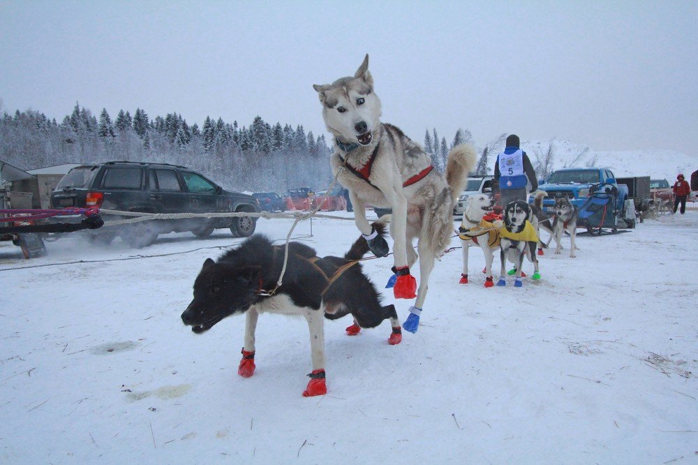 Перед стартом