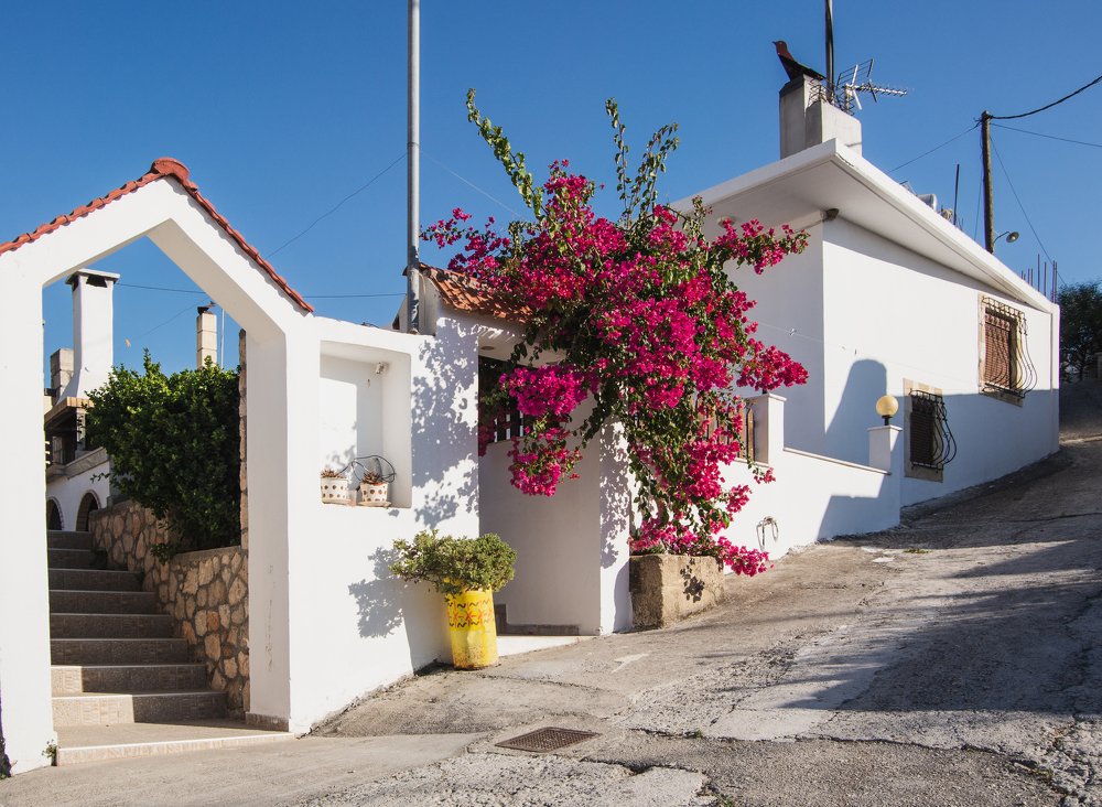 Фотография автора Марина Савчиц