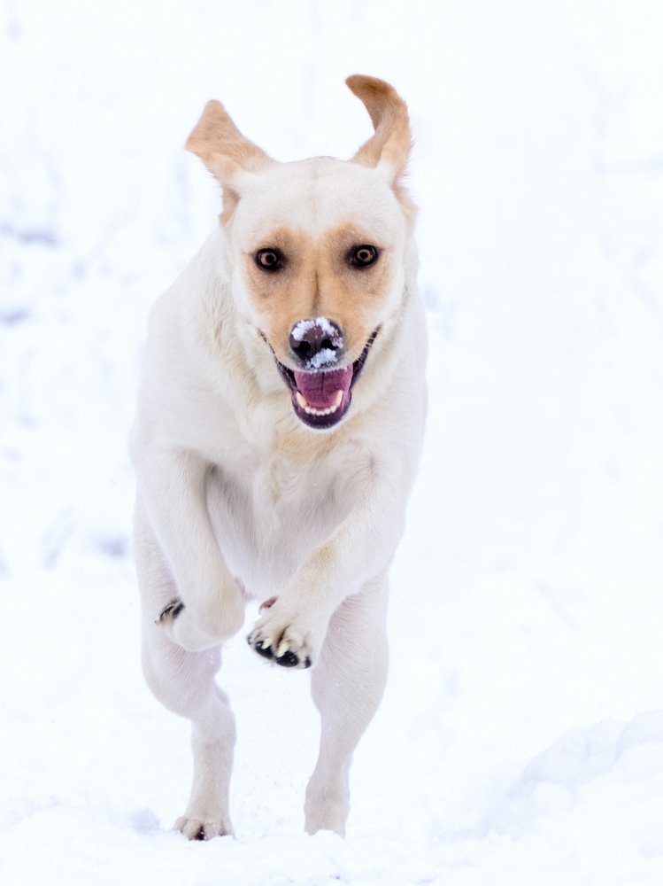 Photograph by Сергей Масленников