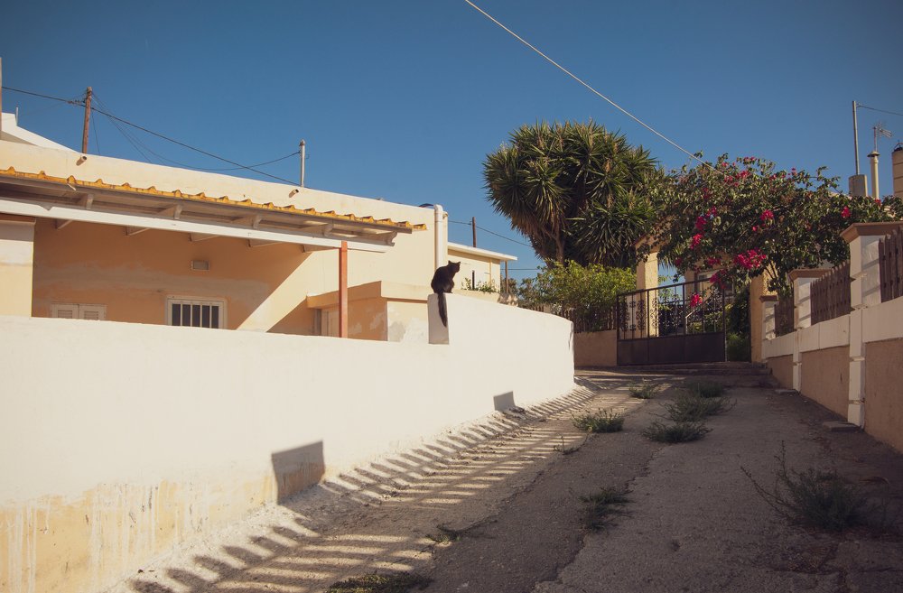 Фотография автора Марина Савчиц