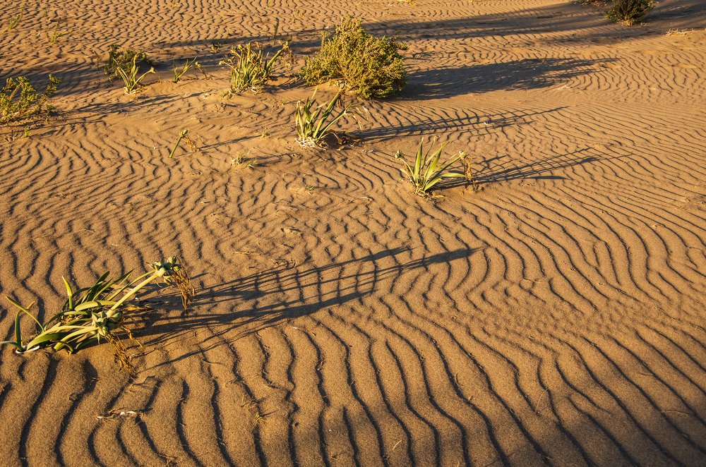 Фотография автора Марина Савчиц