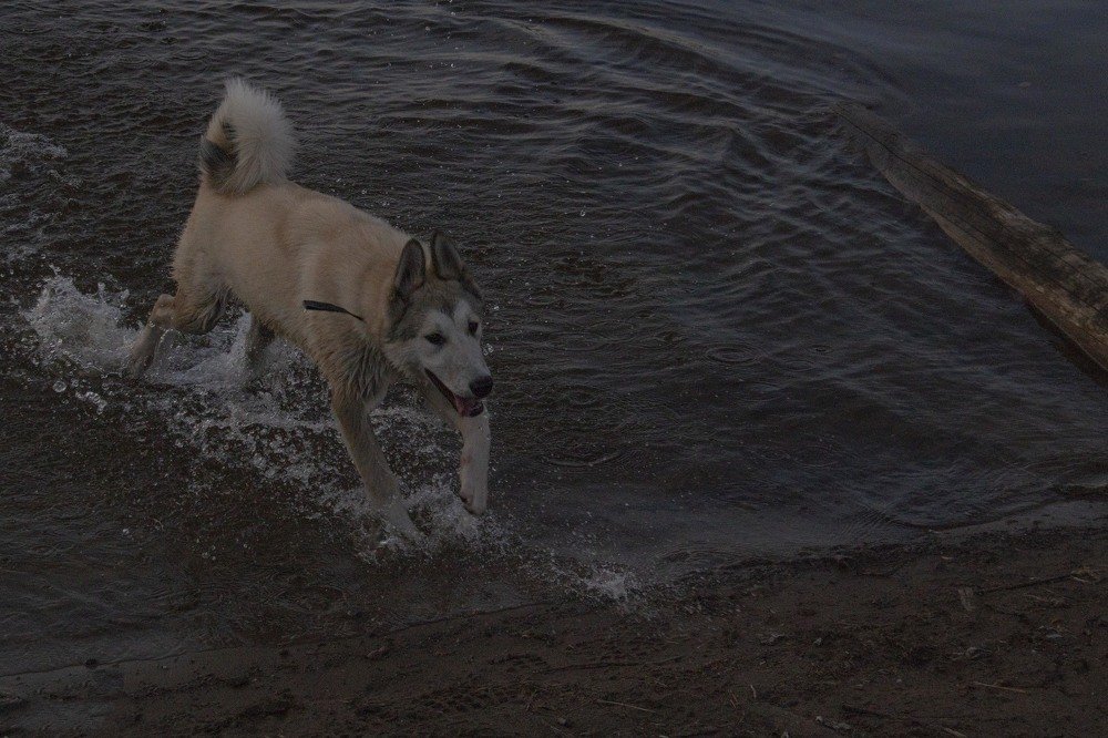 Photograph by миша