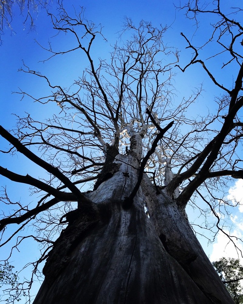 Photograph by Лисовой Максим