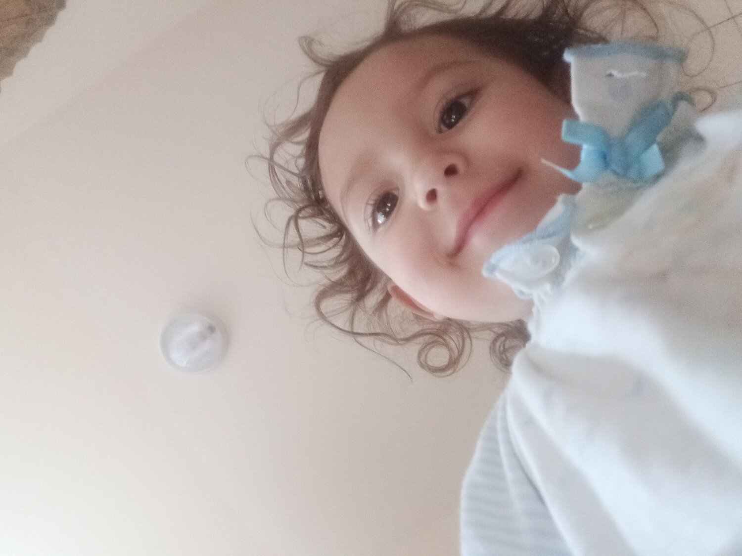 Photo #3894559