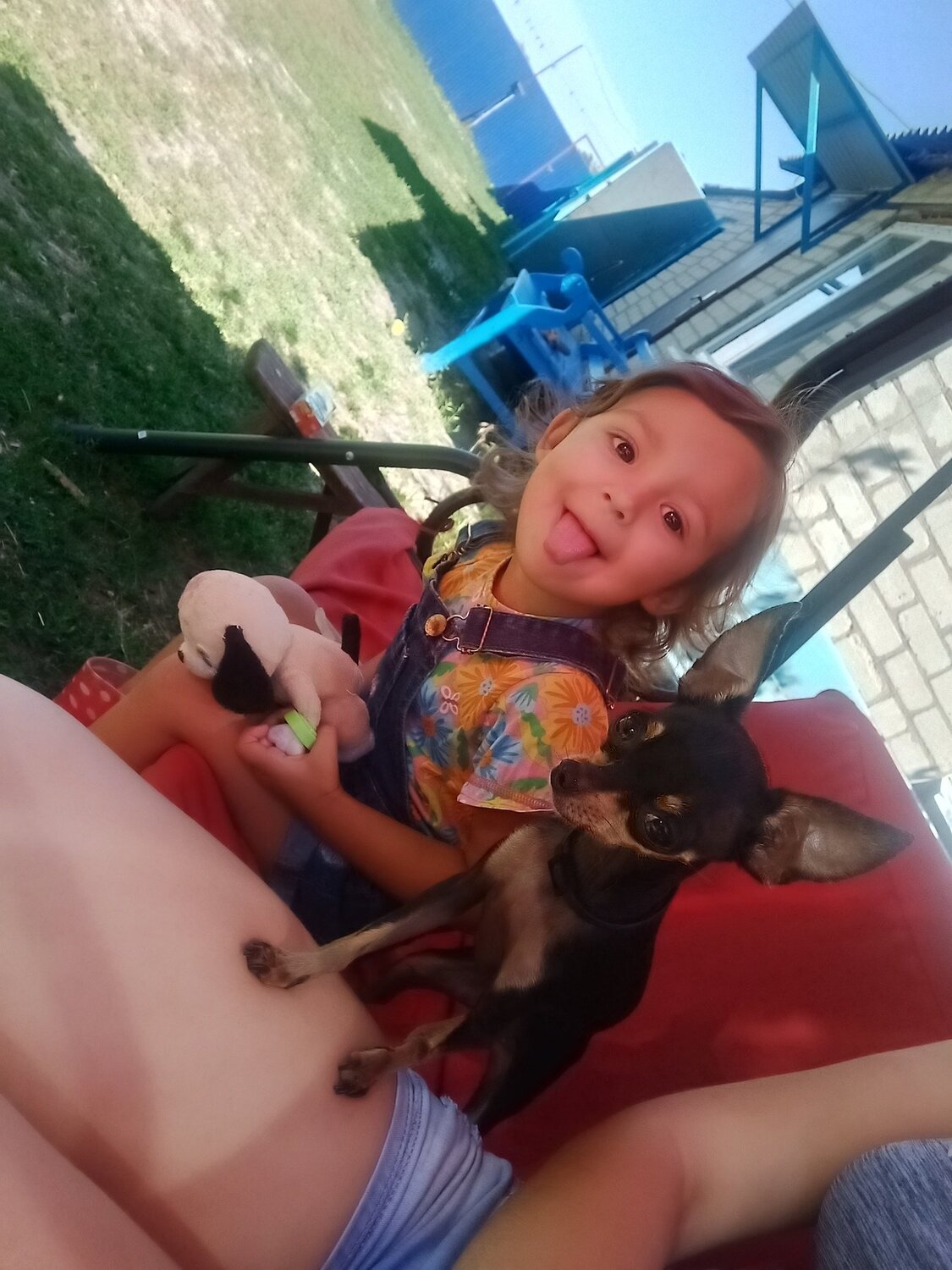 Photo #3894562