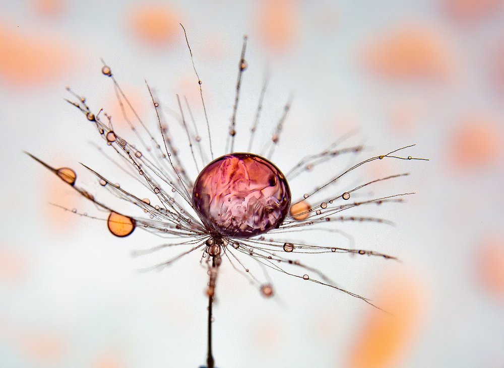 Photograph by Иван Радьков