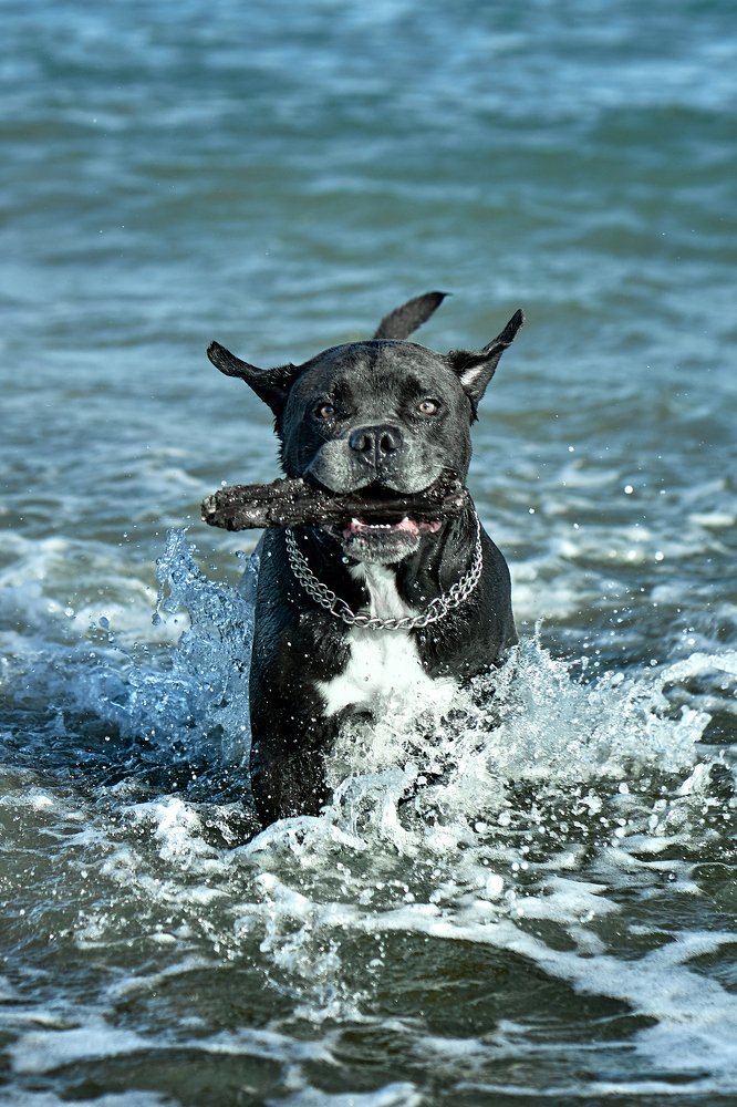 Photograph by Антон