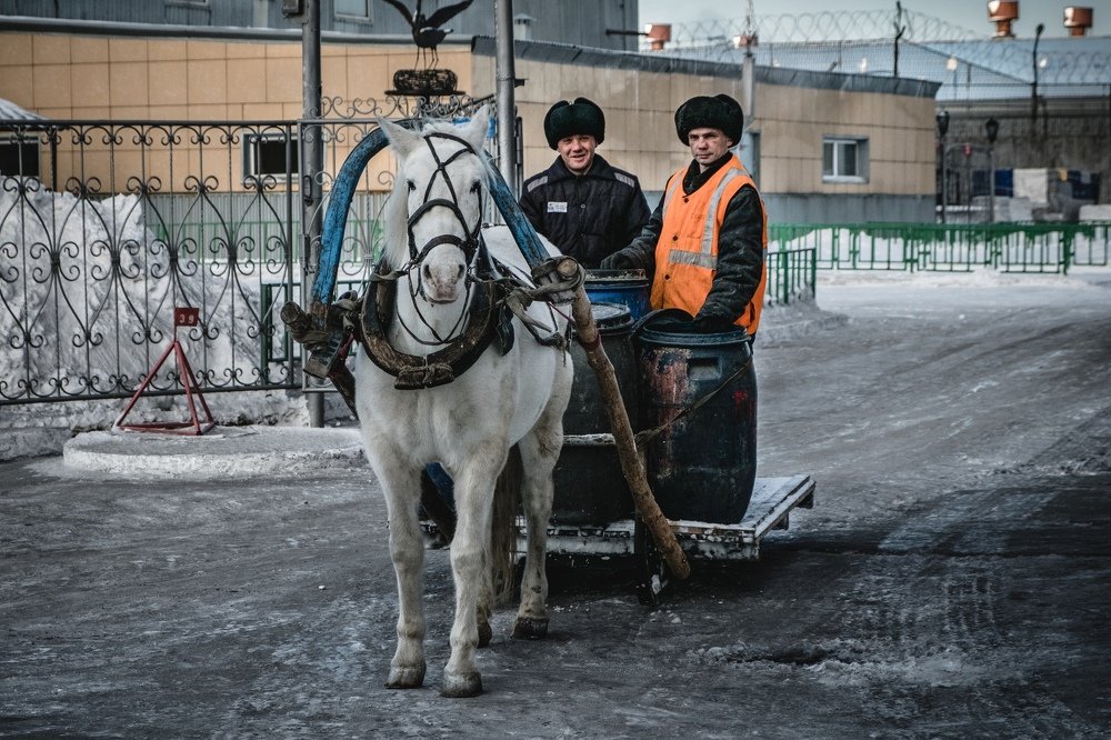 Photograph by Денис Алфёров
