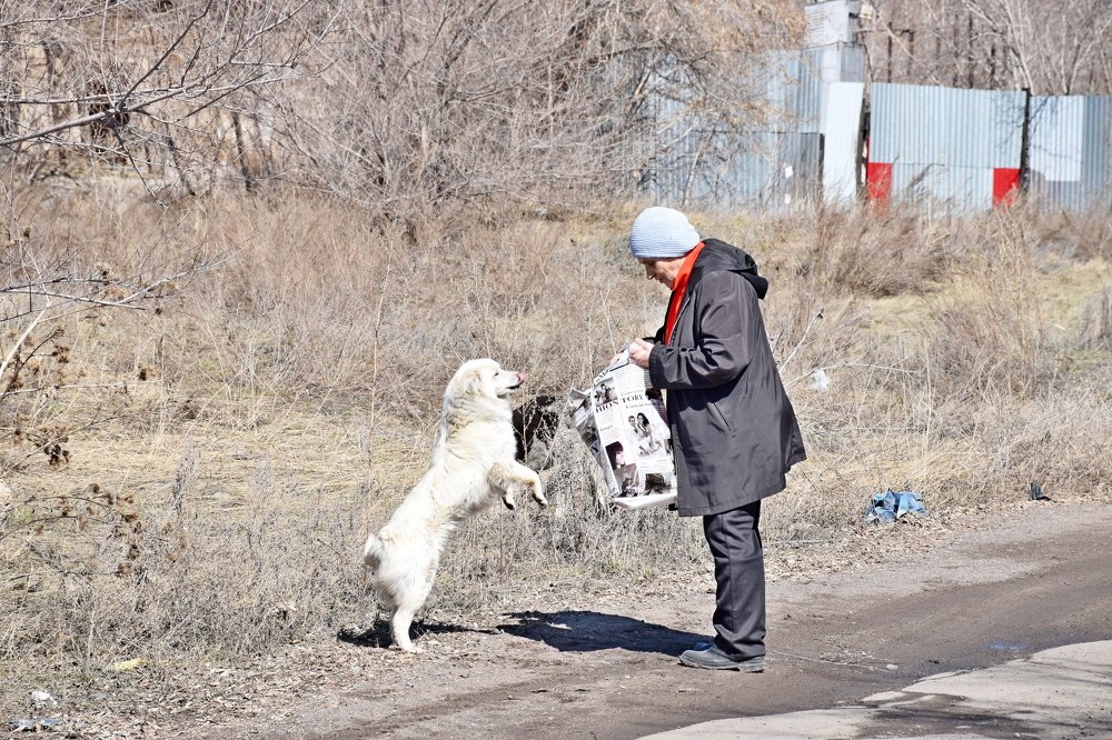 Photograph by Елена Прохорова