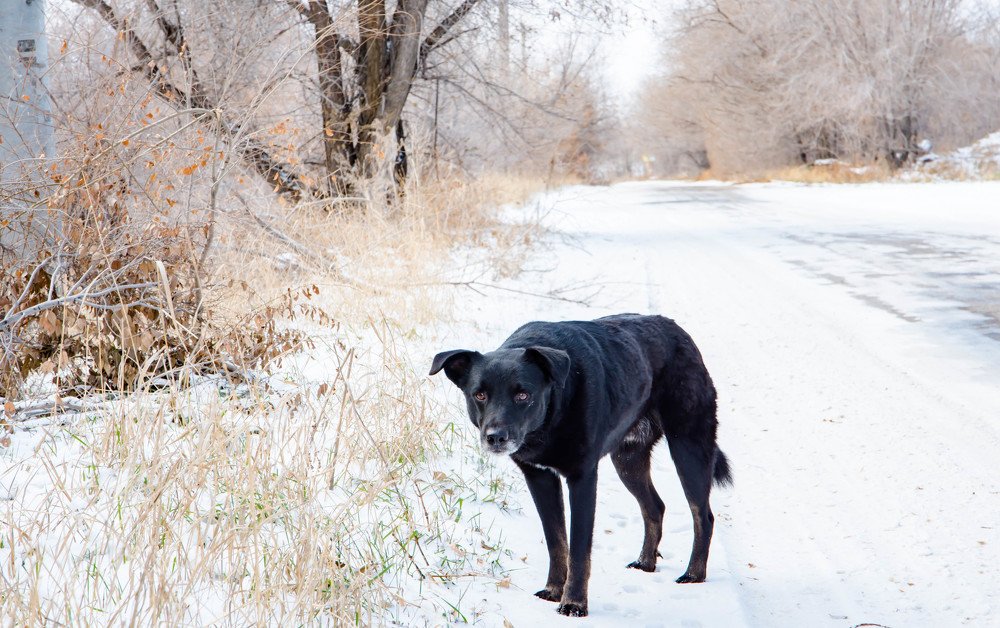 Photograph by Елена Прохорова
