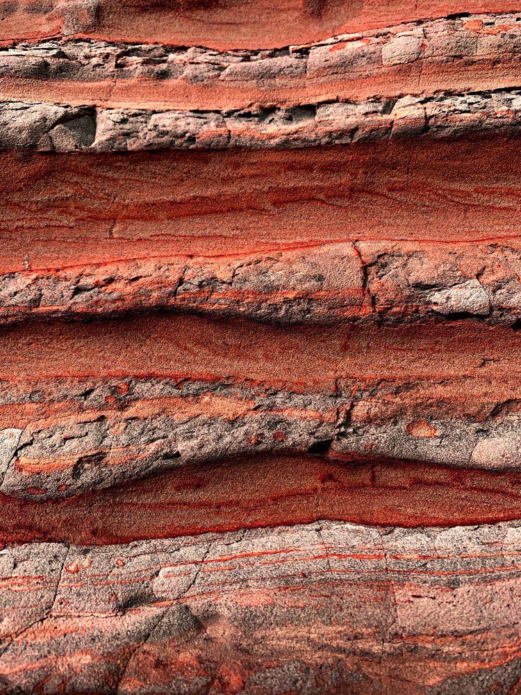 Photograph by Kelly Vivian