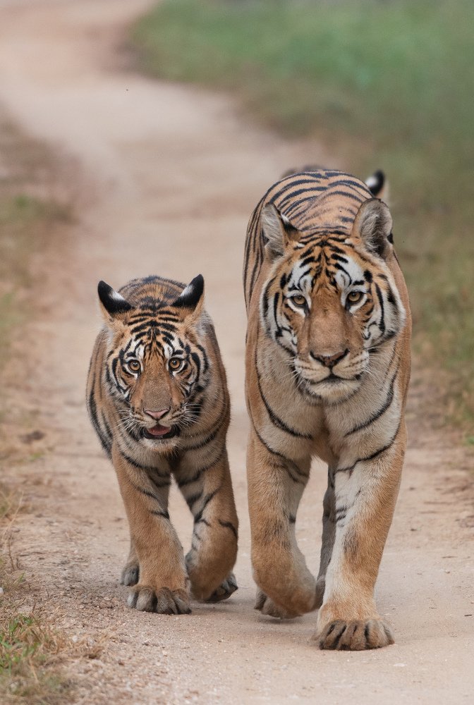 Photograph by Sunil Manikkath