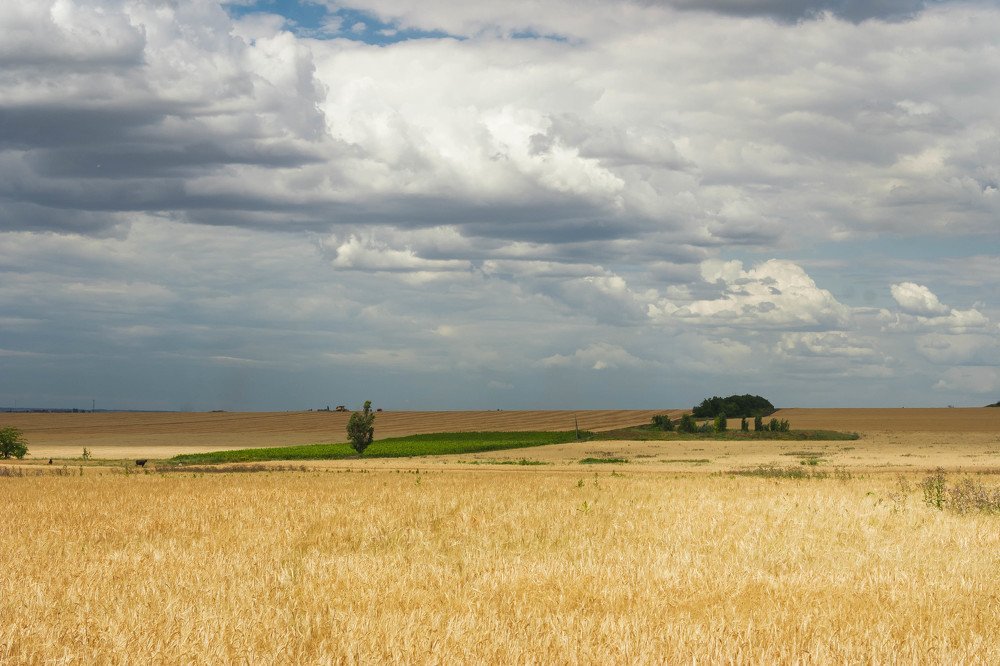 За пять минут до дождя
