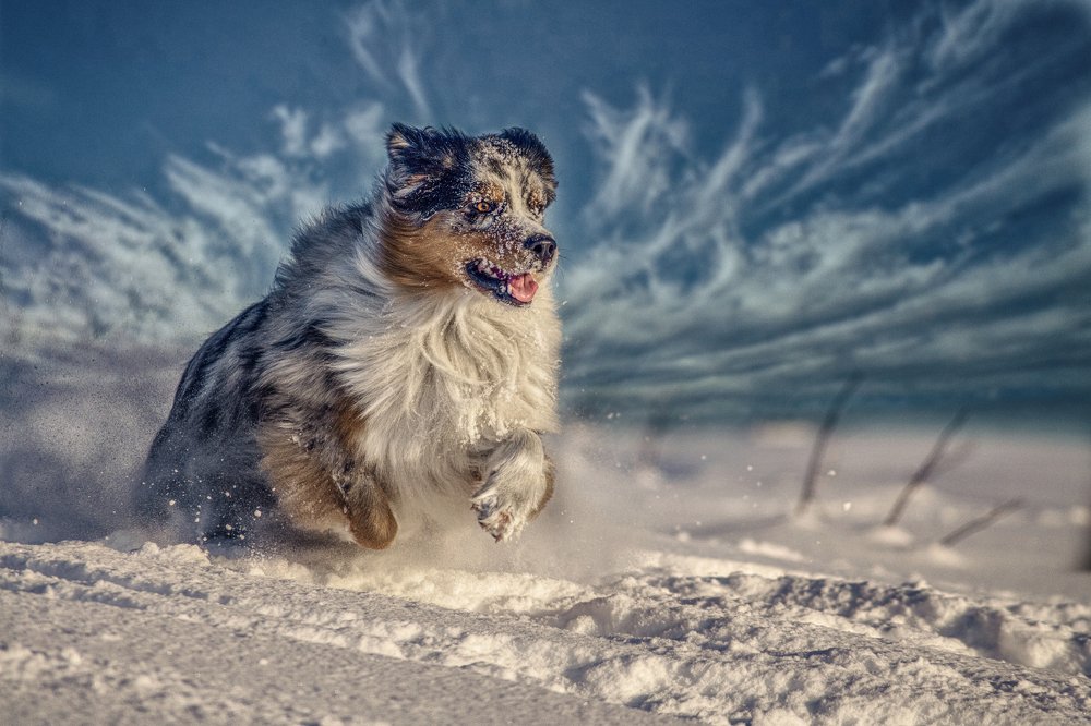 Photograph by Константин Кокорев