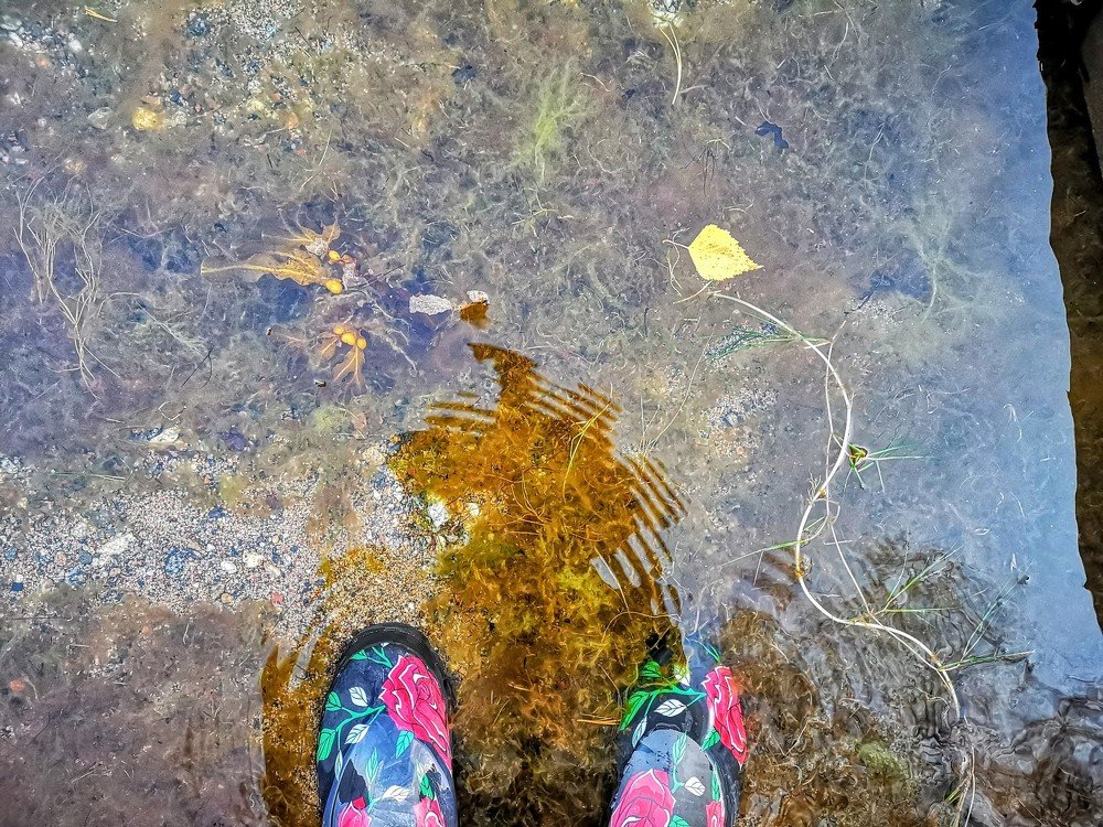 Photograph by Tanja Z. Bergman