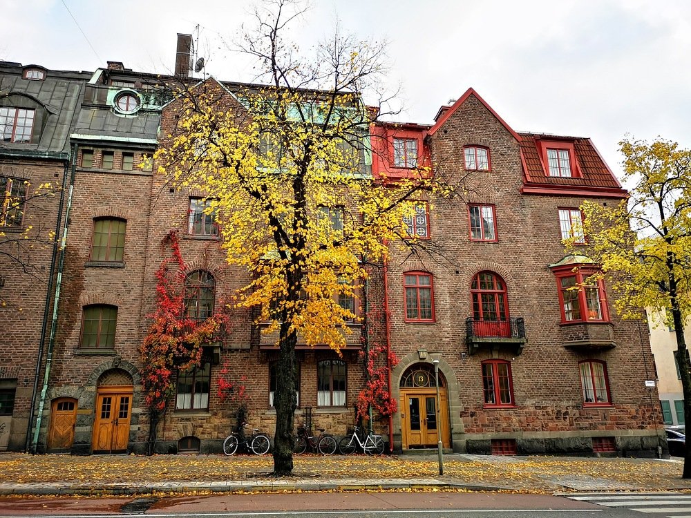 Photograph by Tanja Z. Bergman