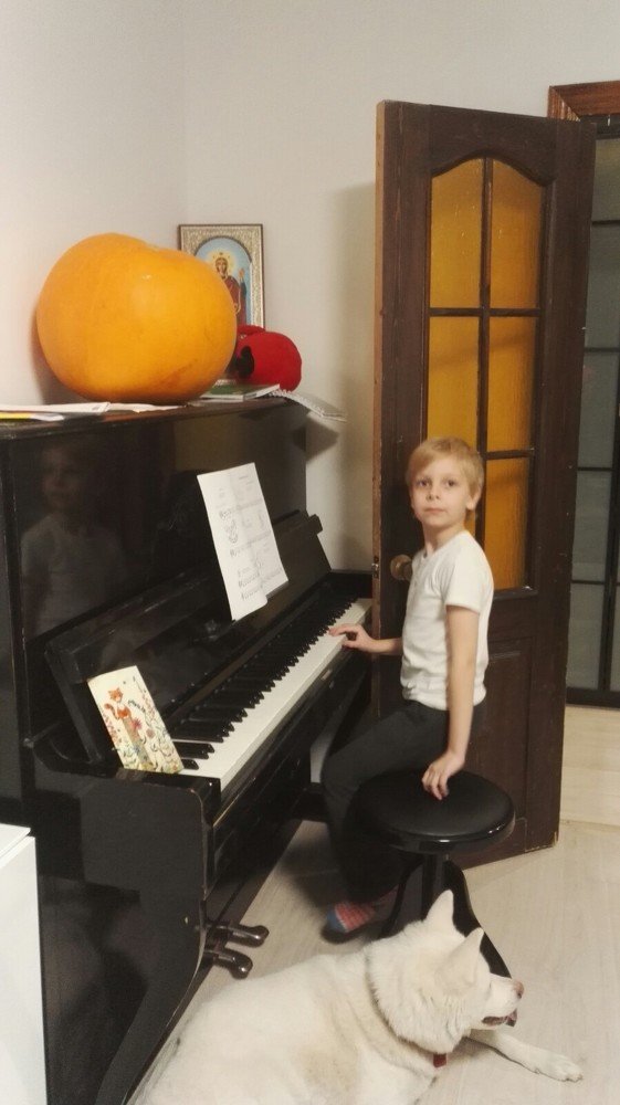 Юный пианист
