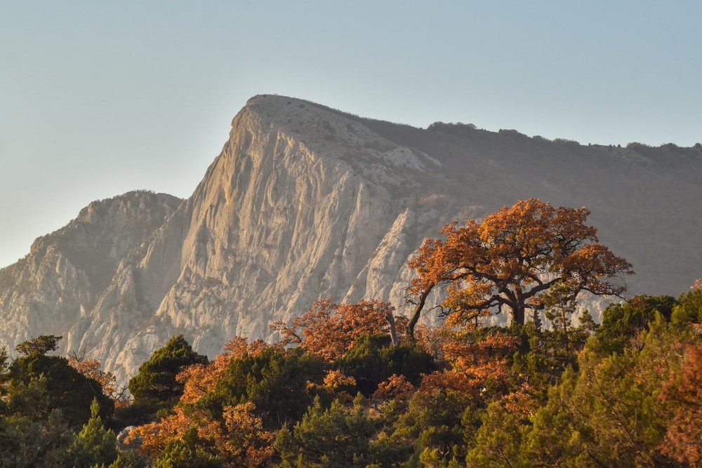 В закатных лучах