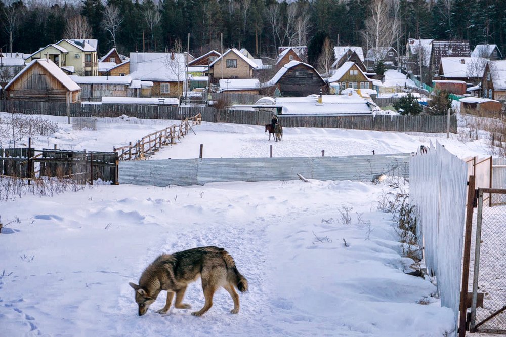 Photograph by Щербакова Галина