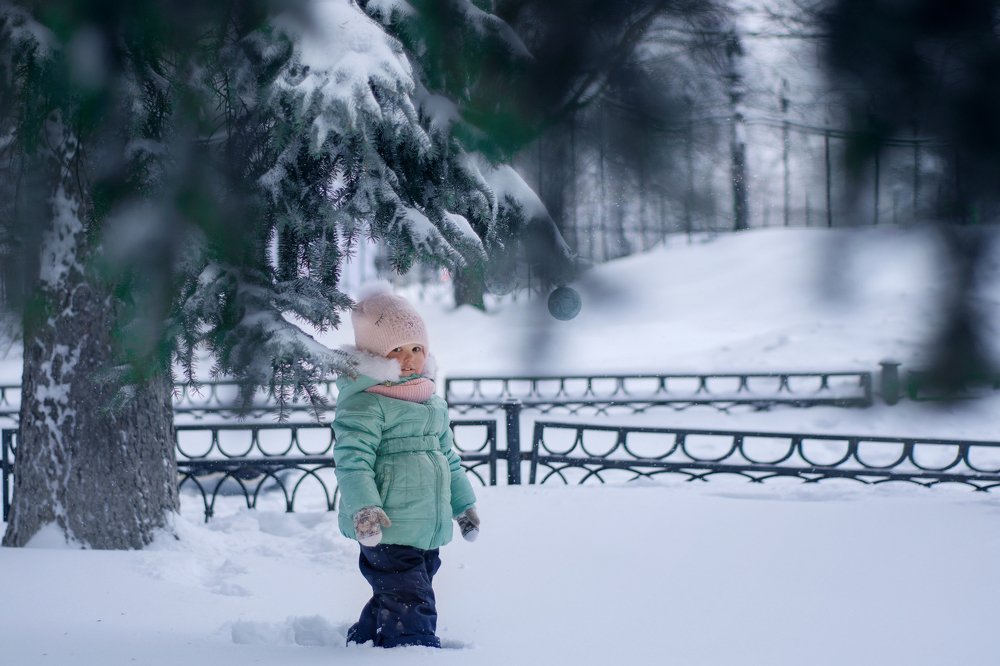 Winter fairytale