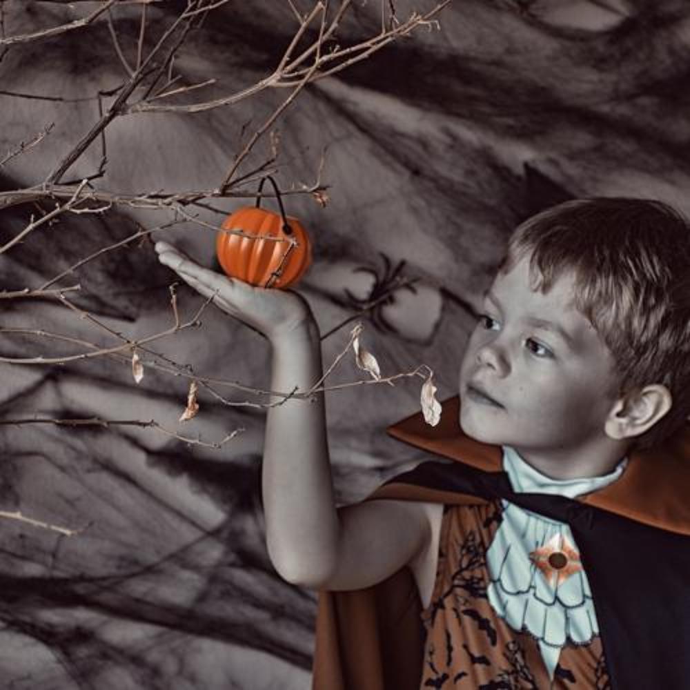 Photograph by Irina Katoshina