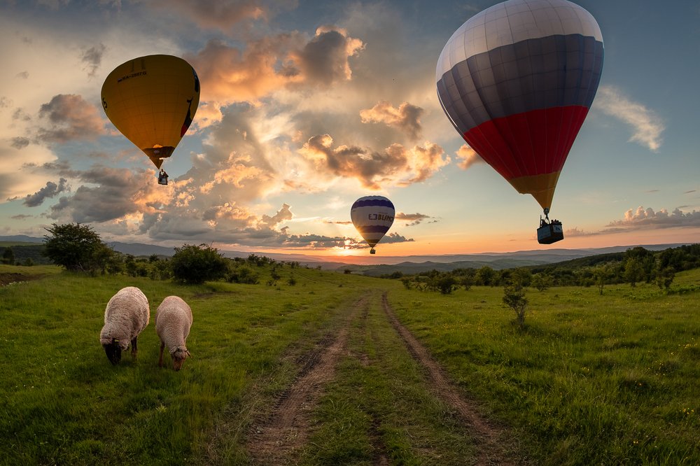 Photograph by Oprea Vio