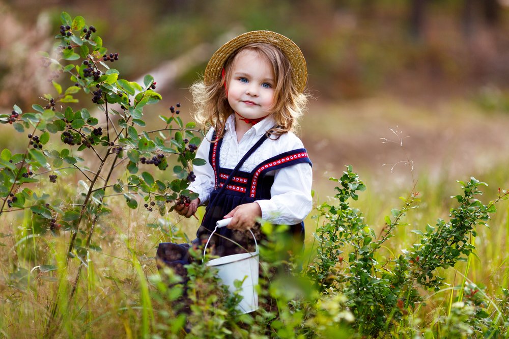 Photograph by Renate Tompsone