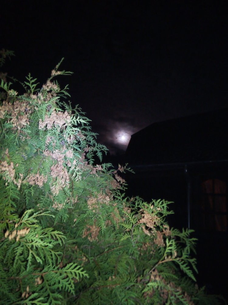 Таинственная Луна.