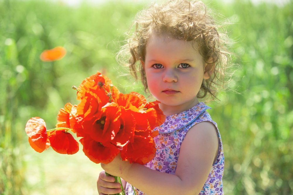 Photograph by Алексей Пожаренко