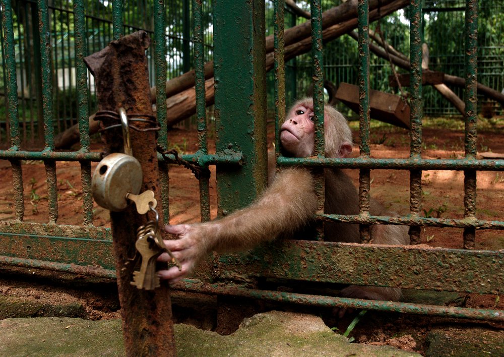 Photograph by Samsul Huda Patgiri