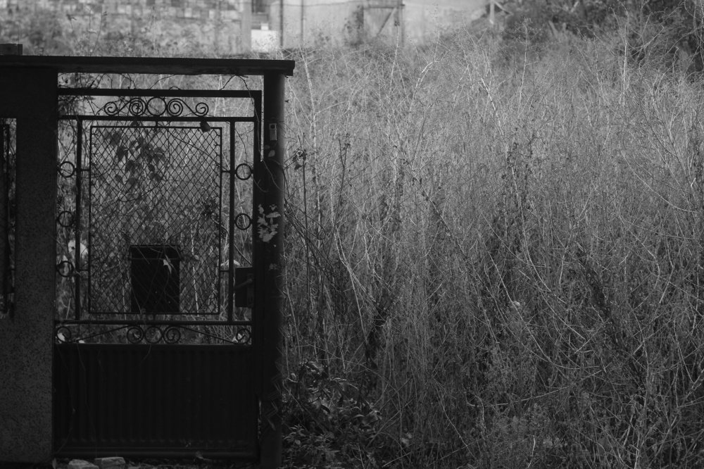 Photograph by Iliyan Iliev