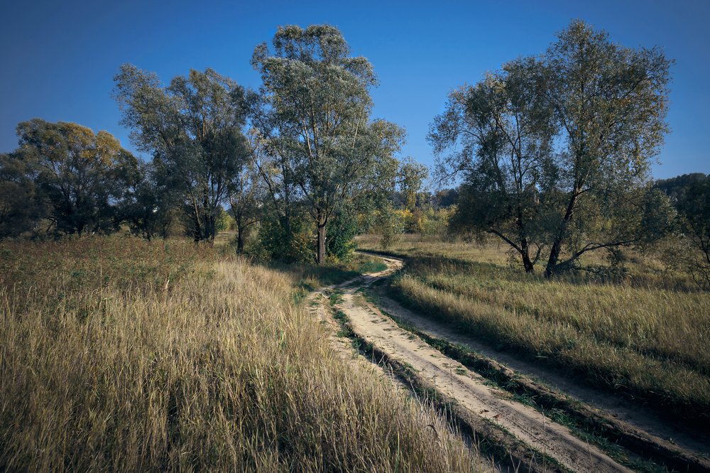 Photograph by Родичев Игорь Леонидович