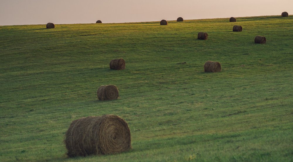 Photograph by Тая Михайлова