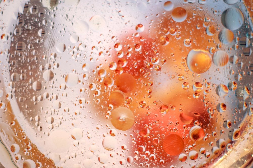 Photograph by Маргарита Федурина