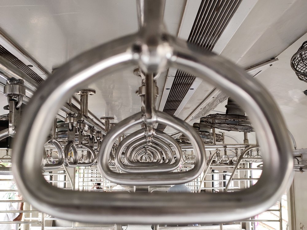 Фотография автора Manas Panja